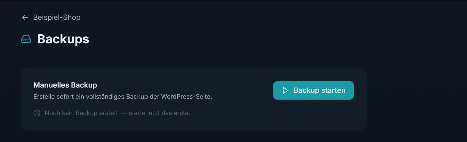 Der Backup-Bereich einer Website